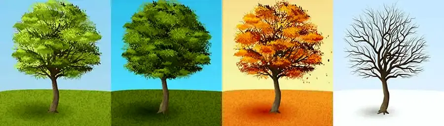 Seasonal garden maintenance services