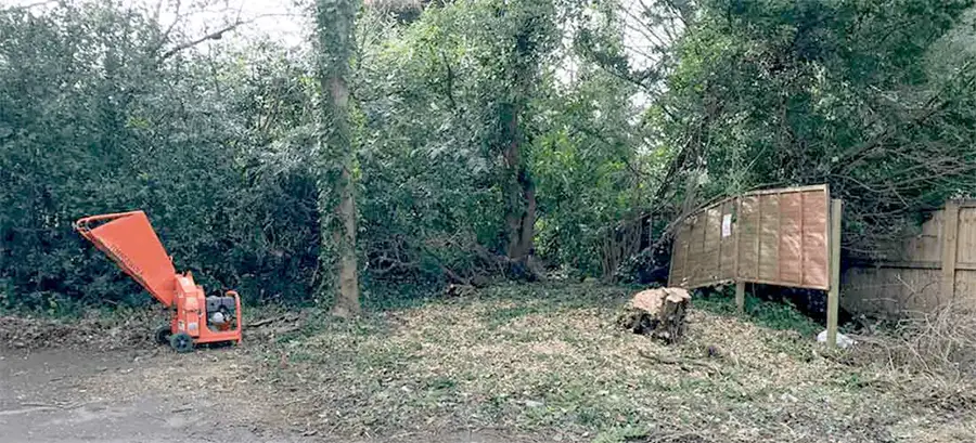 Garden after yew tree removal work