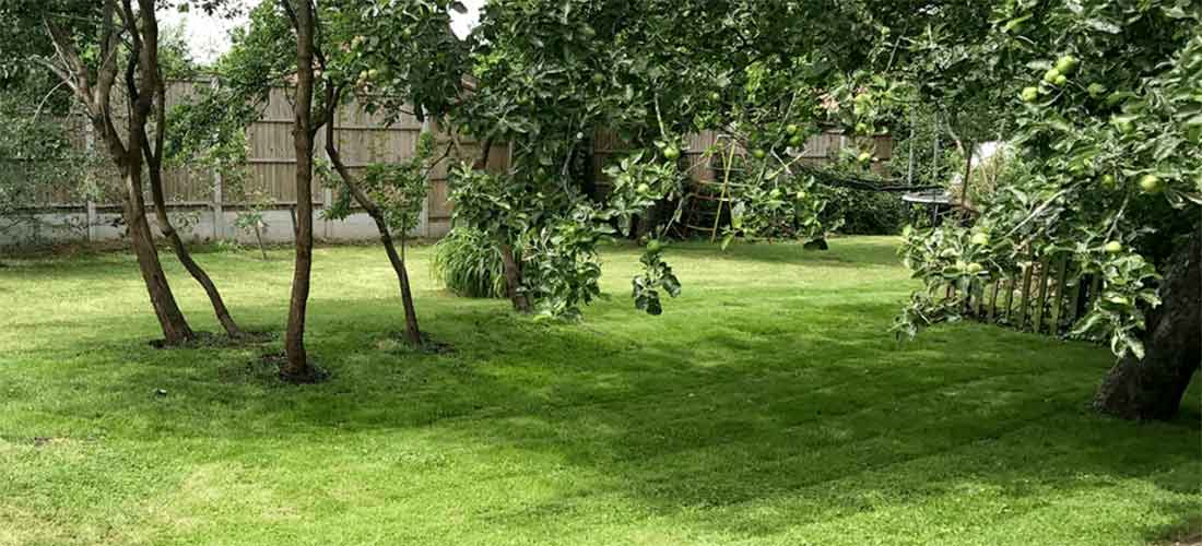 Handy Gardener Gloucester - After regular gardening