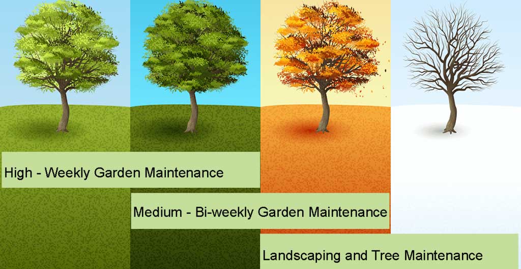handy gardener-seasonal-service-visual-1024x683