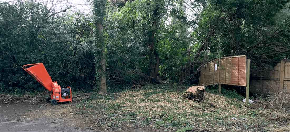 Tree removal after - Handy Gardener Gloucester